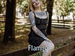 Flamygir Ta Model
