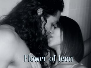 Flower_of_leon