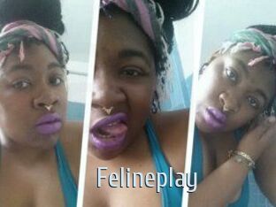 Felineplay
