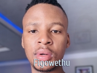 Figowethu