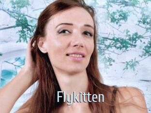 Flykitten