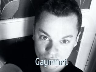 Gayminet