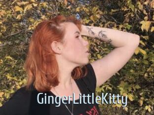 GingerLittleKitty