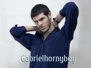 Gabrielhornyboy