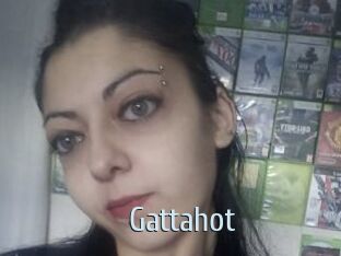 Gattahot