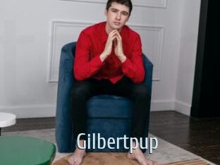 Gilbertpup
