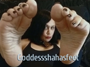 Goddessshahasfeet