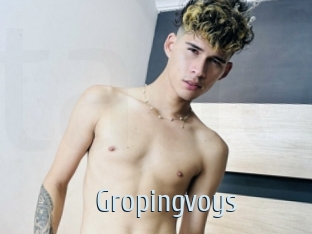 Gropingvoys