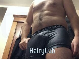 HairyCub