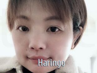Haringo