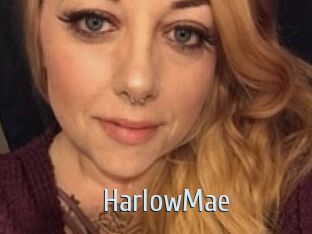 Harlow_Mae