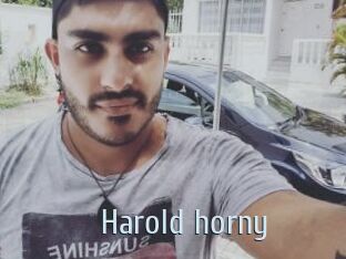 Harold_horny