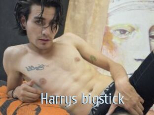 Harrys_bigstick