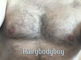 Hairybodyboy