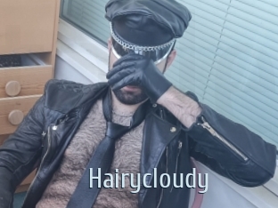 Hairycloudy