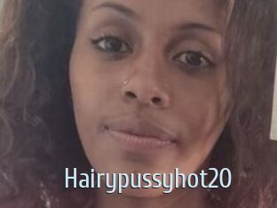 Hairypussyhot20