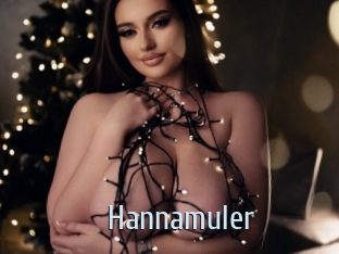 Hannamuler