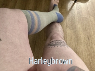 Harleybrown