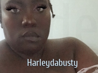 Harleydabusty