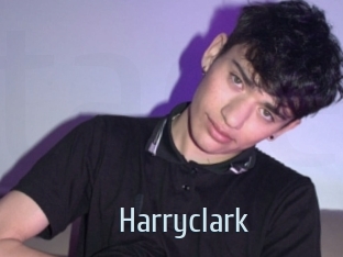 harryclark Ta Model