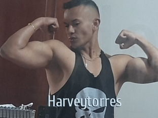 Harveytorres