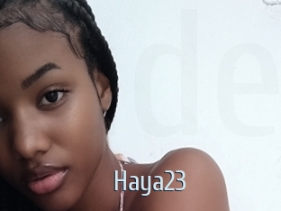Haya23