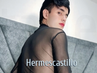 hermescastillo Ta Model