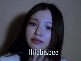 Hildbisbee