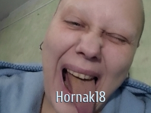 Hornak18