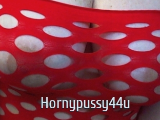 Hornypussy44u