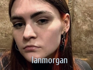 ianmorgan Ta Model