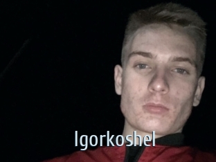 Igorkoshel