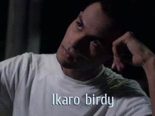 Ikaro_birdy