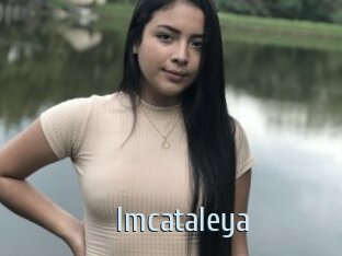 Imcataleya