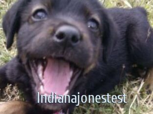 Indianajonestest