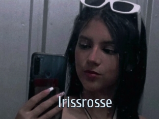 Irissrosse