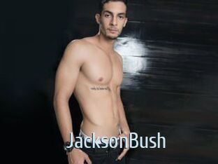 JacksonBush