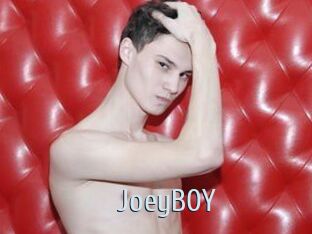 JoeyB0Y