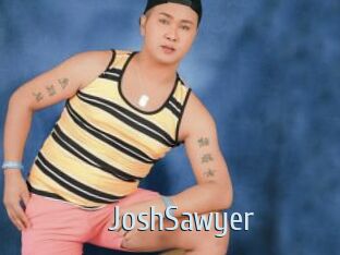 JoshSawyer