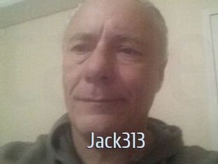 jack313 Ta Model