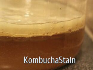 KombuchaStain