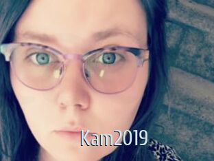 kam2019 Ta Model