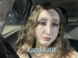 Kandikatie