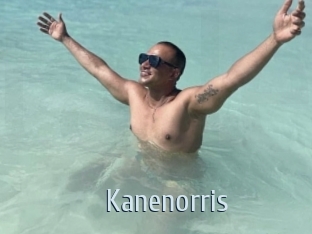 kanenorris Ta Model