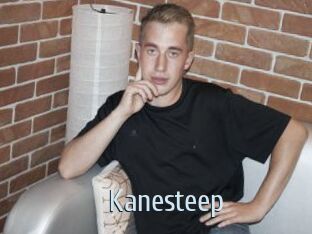 Kanesteep