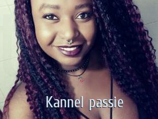 Kannel_passie