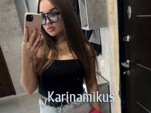 Karinamikus