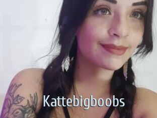 Kattebigboobs