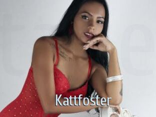 kattfoster Ta Model