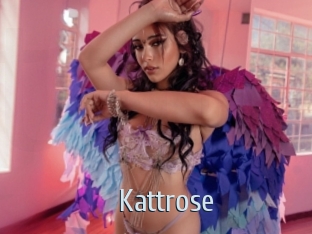 Kattrose